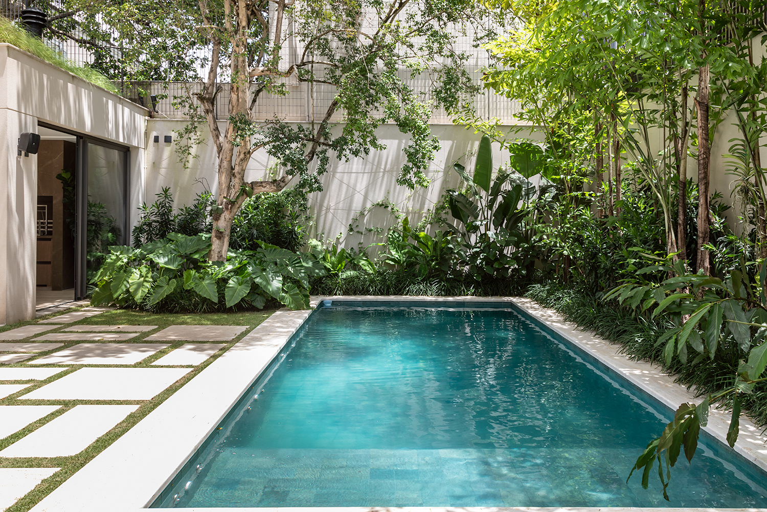 Área externa com piscina em alvenaria e entorno com plantas