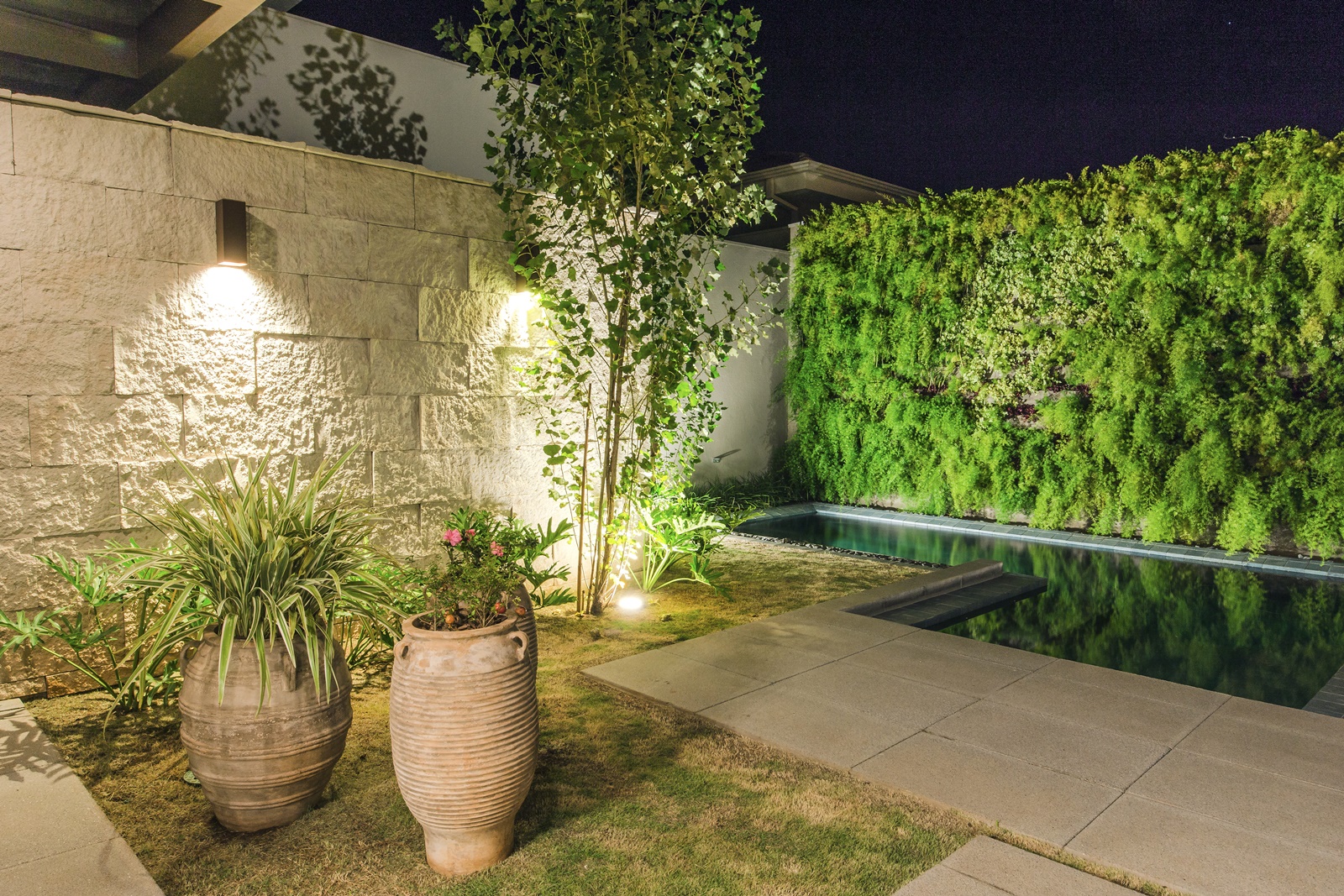 Área externa à noite com luzes iluminando plantas