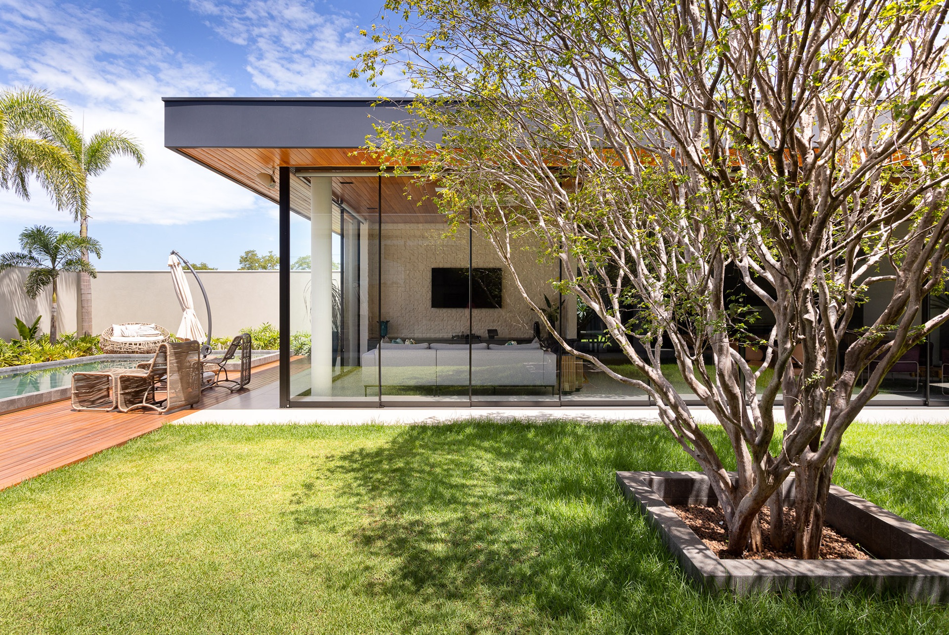 Área externa de uma casa com piscina e uma árvore frutífera.