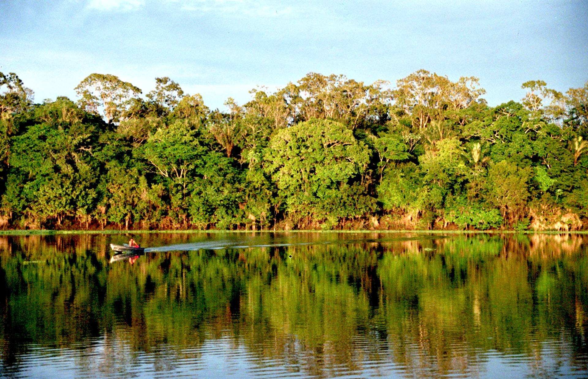 Paisagem natural da Amazônia