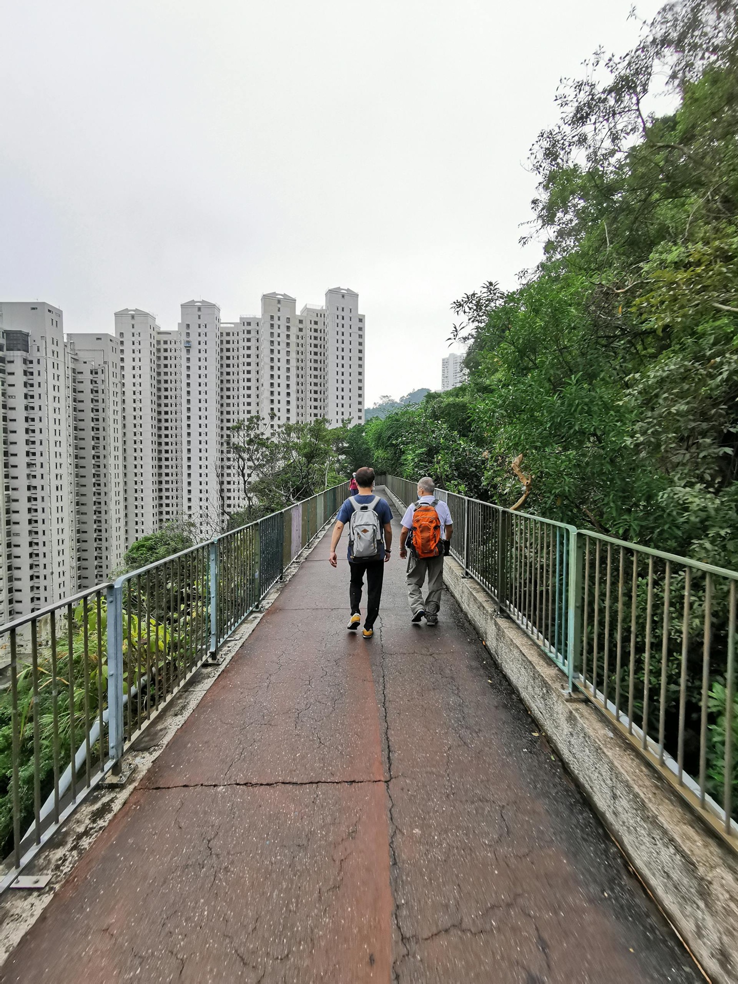 cidade jardim Dois pedestres caminham por uma passarela elevada ladeada por vegetação densa de um lado e por edifícios residenciais altos do outro.