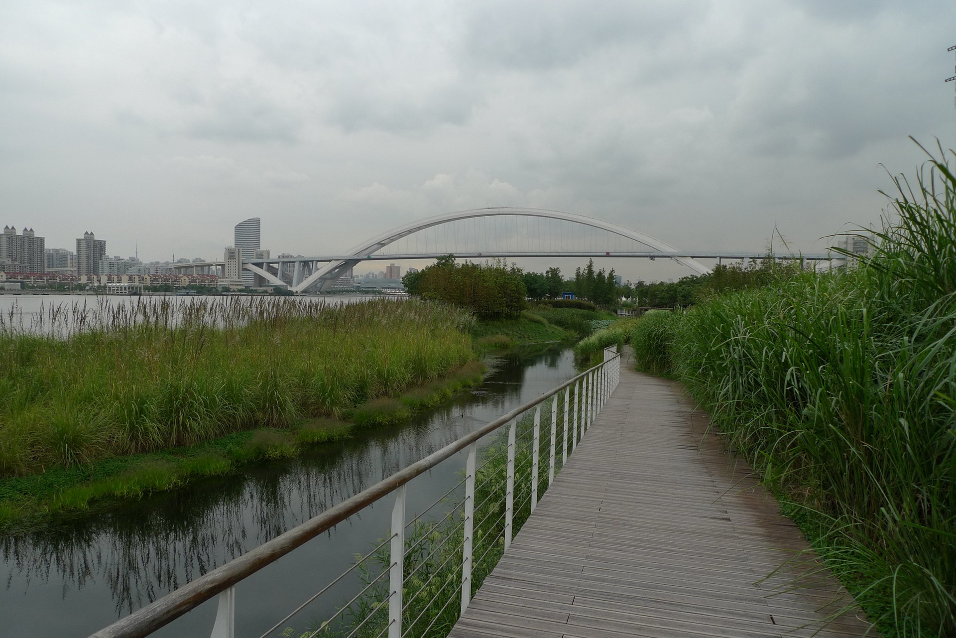 Vista do Shanghai Houtan Park, mostrando um caminho de madeira cercado por vegetação densa, próximo a um canal de água, com a cidade e uma ponte ao fundo