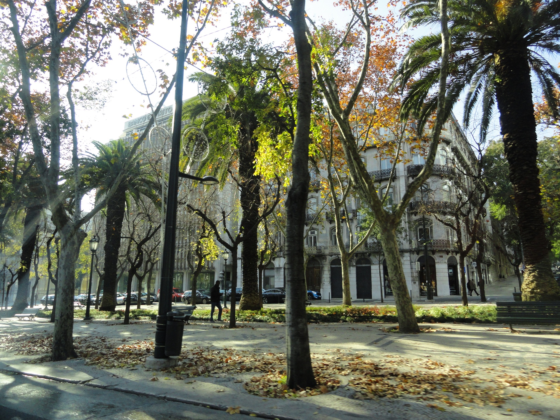 Vista da Avenida da Liberdade, em Lisboa, com as suas largas calçadas de pedra portuguesa, bancos, árvores e edifícios históricos