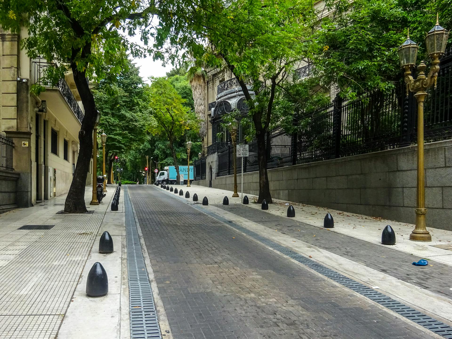 Rua tranquila ladeada por árvores e prédios históricos, com iluminação clássica