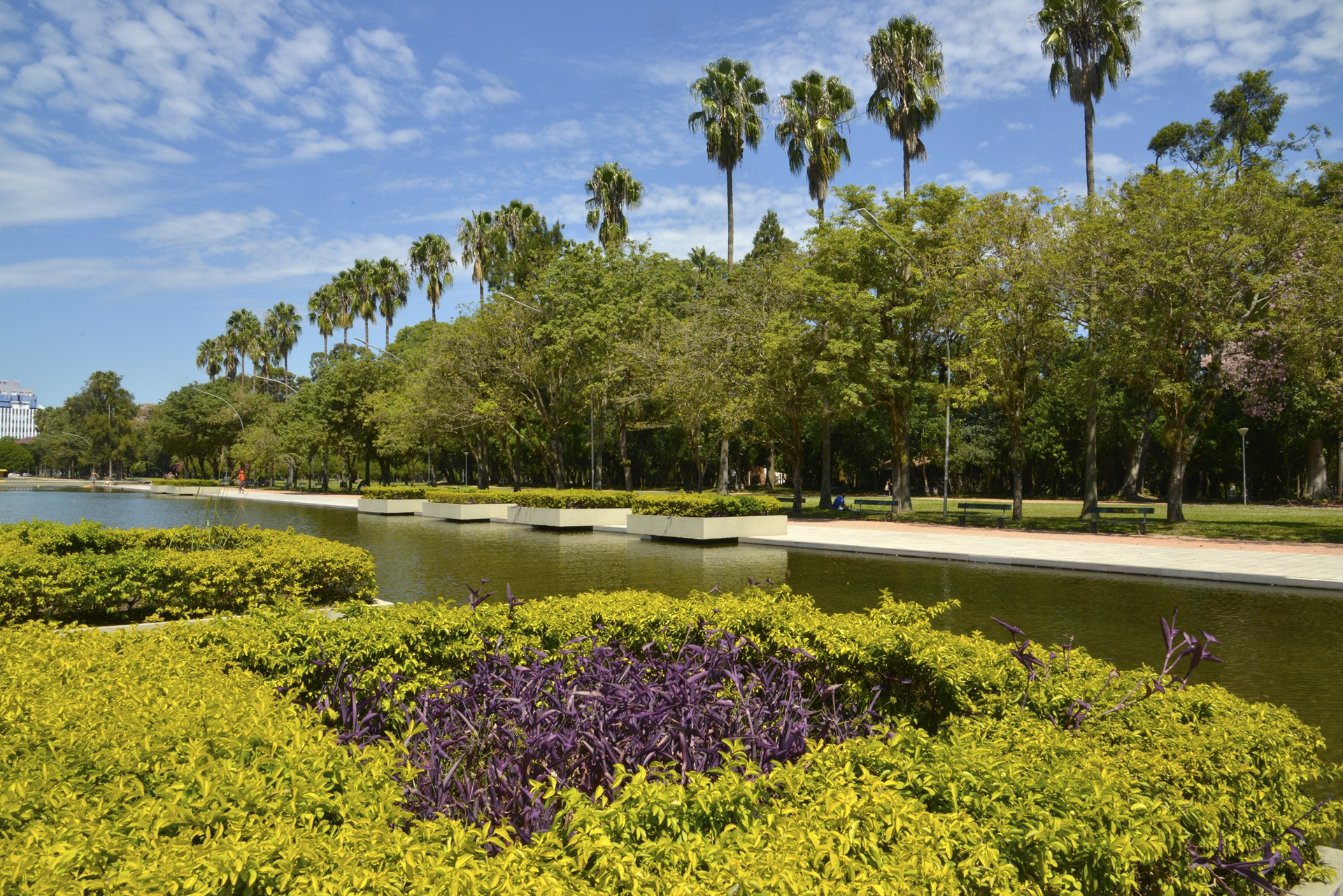 Vista do Parque Farroupilha (Redenção), em Porto Alegre (RS), com calçadas largas, vegetação colorida, espelho d’água e árvores altas que sombreiam os passeios; o espaço conecta diferentes áreas de lazer, como feiras, bancos, pistas e áreas culturais