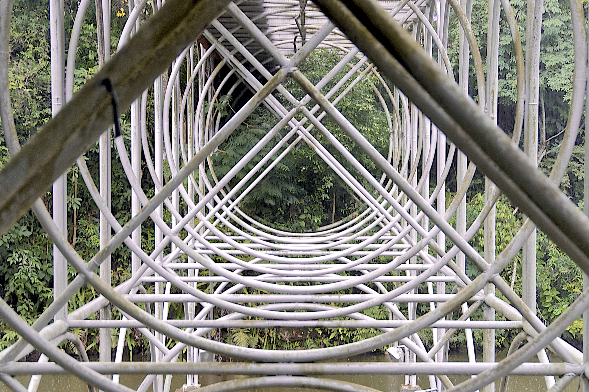 ópera do arame Detalhe da estrutura metálica tubular da Ópera de Arame, com vegetação ao fundo.