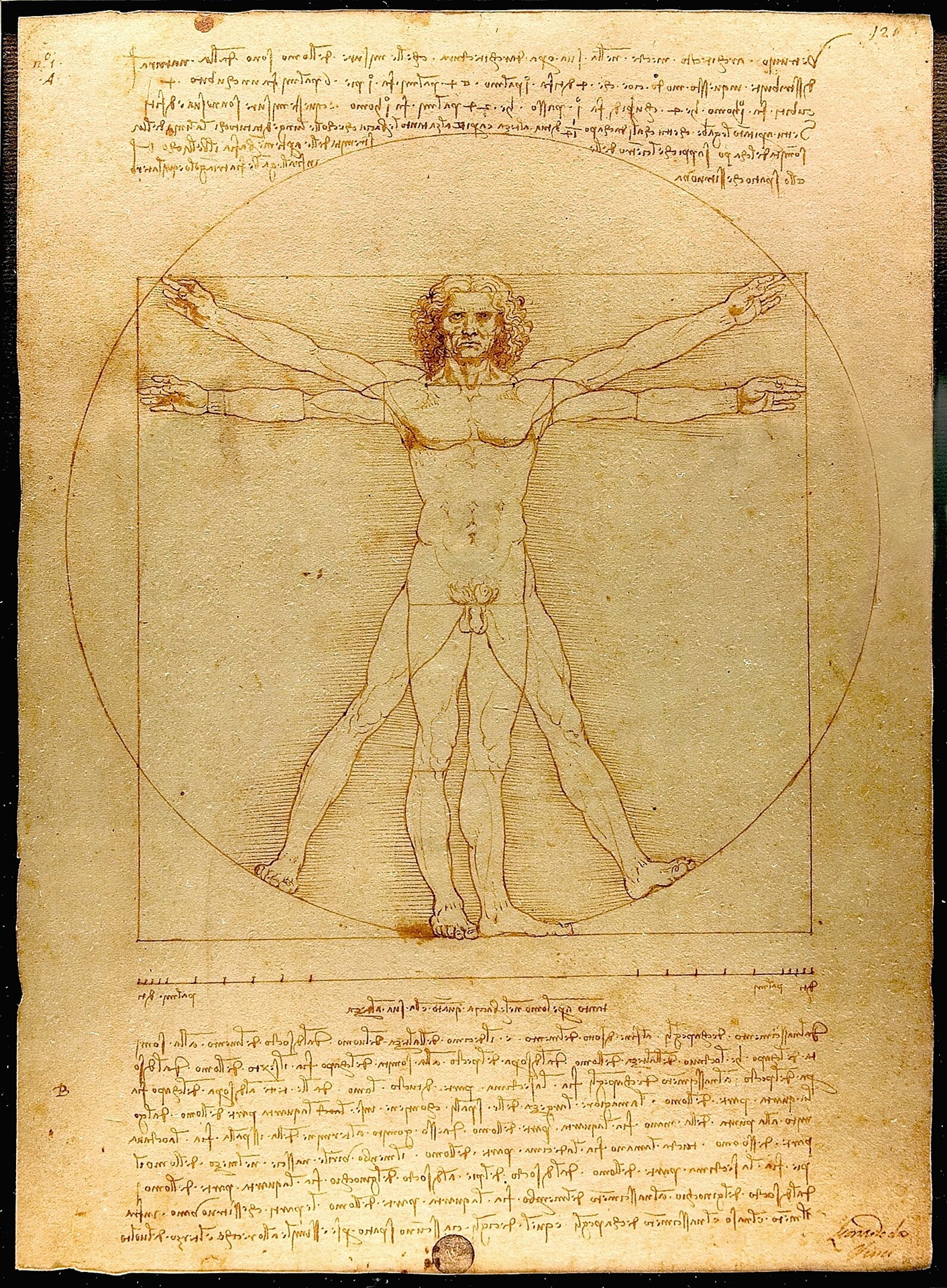 Desenho do Homem Vitruviano, de Leonardo da Vinci, representando um homem nu em duas posições sobrepostas com braços e pernas abertos, inscrito simultaneamente em um círculo e um quadrado. A imagem ilustra as proporções ideais do corpo humano conforme descritas pelo arquiteto romano Vitrúvio. O fundo apresenta anotações em escrita especular de Leonardo