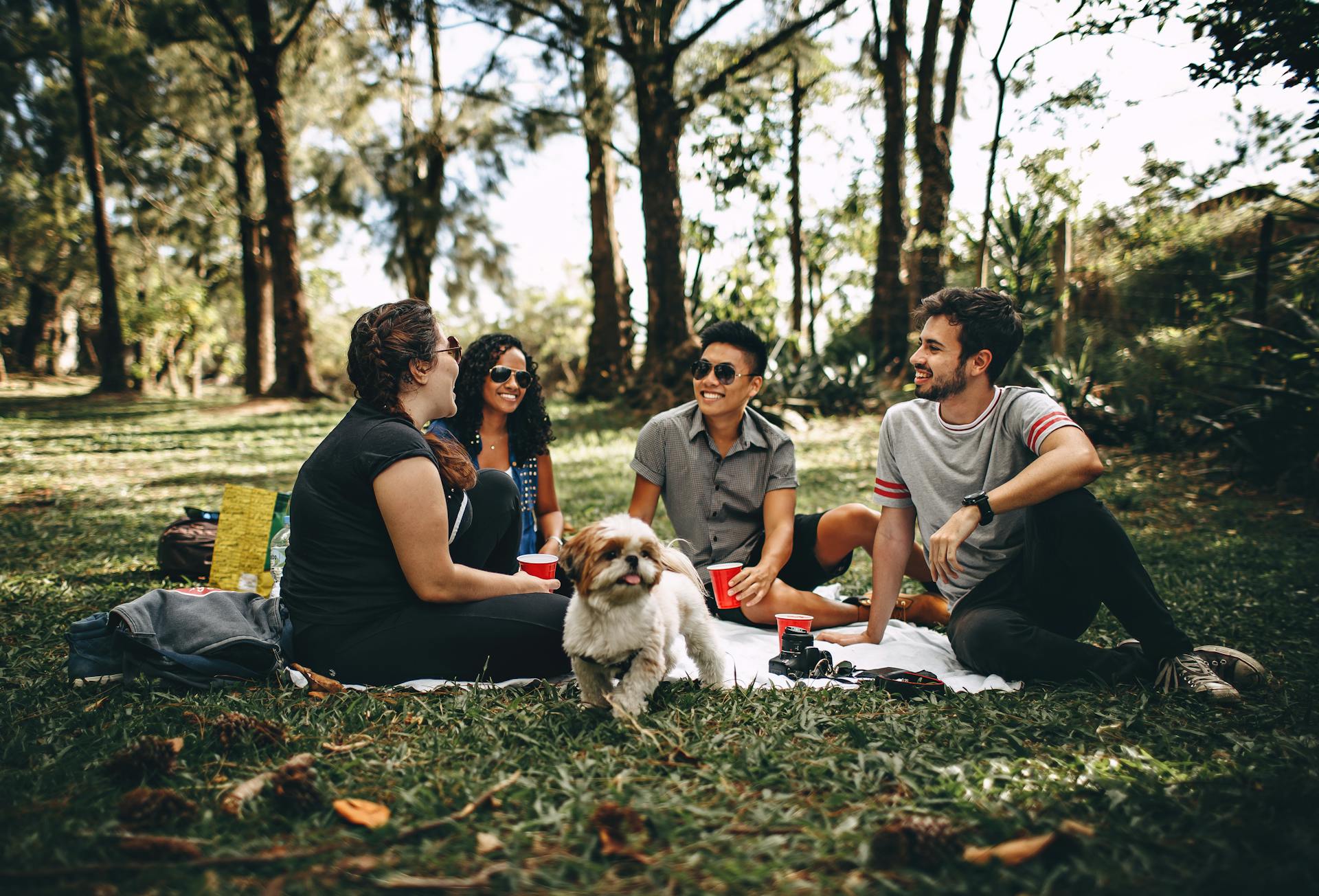 Grupo de quatro pessoas sentadas sobre uma toalha em um parque, conversando e sorrindo enquanto um cachorro pequeno caminha à frente