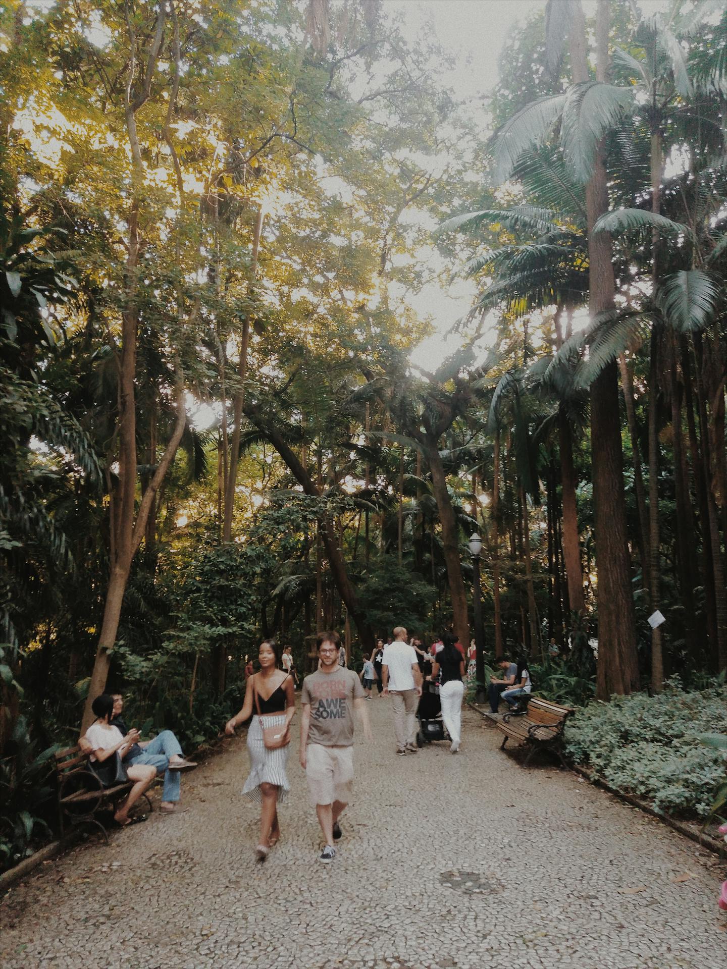 Caminho arborizado de um parque com árvores altas e luz natural filtrada pelas copas; pessoas caminham, conversam e descansam em bancos ao longo da trilha
