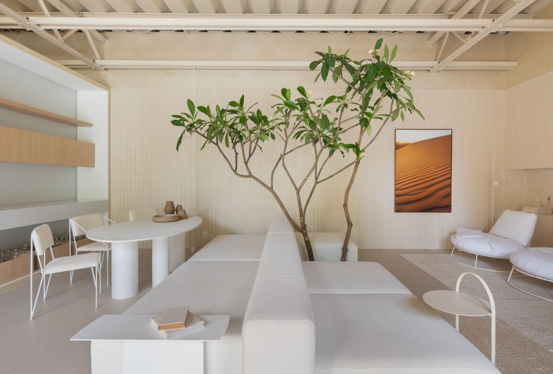 Área de convivência com a predominância do branco e o uso de planta escultural para reforçar o estilo japandi