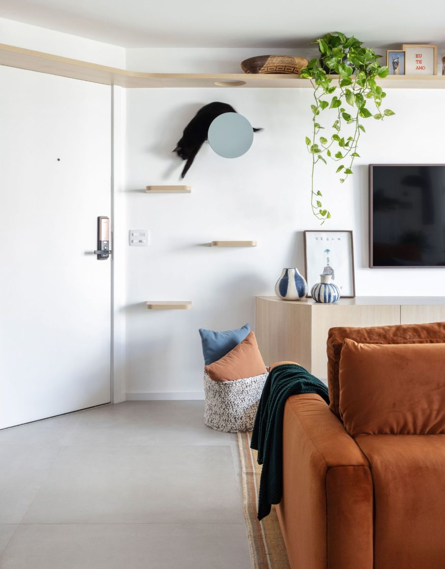 Sala de estar com sofá de veludo caramelo, prateleiras de madeira na parede com gato preto escalando, jiboia pendente sobre rack de madeira clara, vasos cerâmicos azuis e brancos, cesto com almofadas